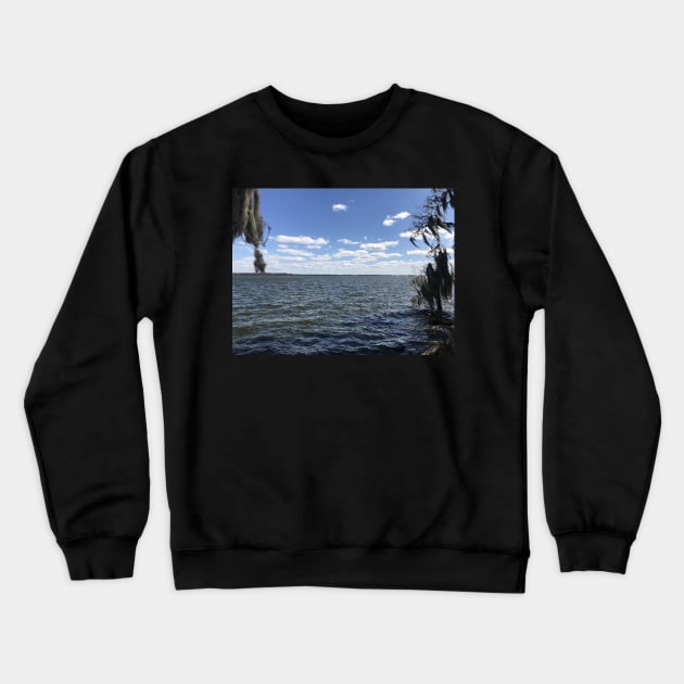 Florida Lake Crewneck Sweatshirt by Sparkleweather